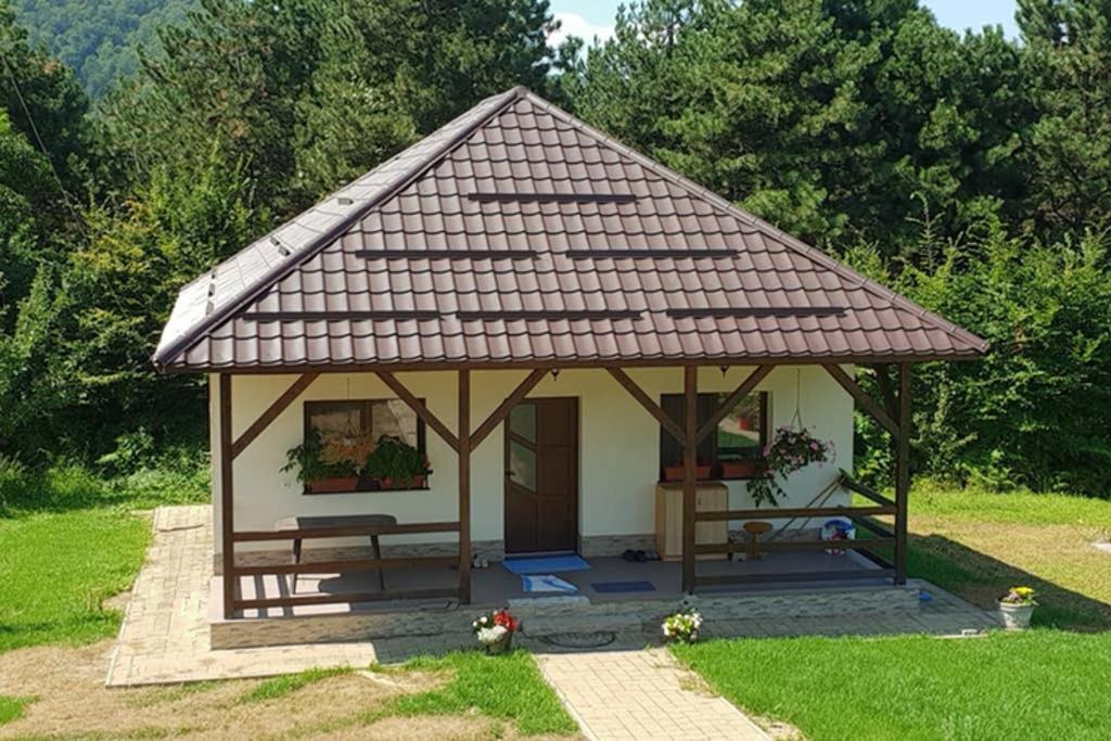 Limpedea Green House Baia Mare Exterior foto