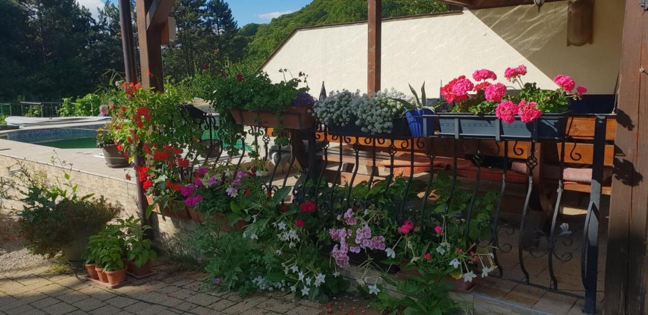 Limpedea Green House Baia Mare Exterior foto