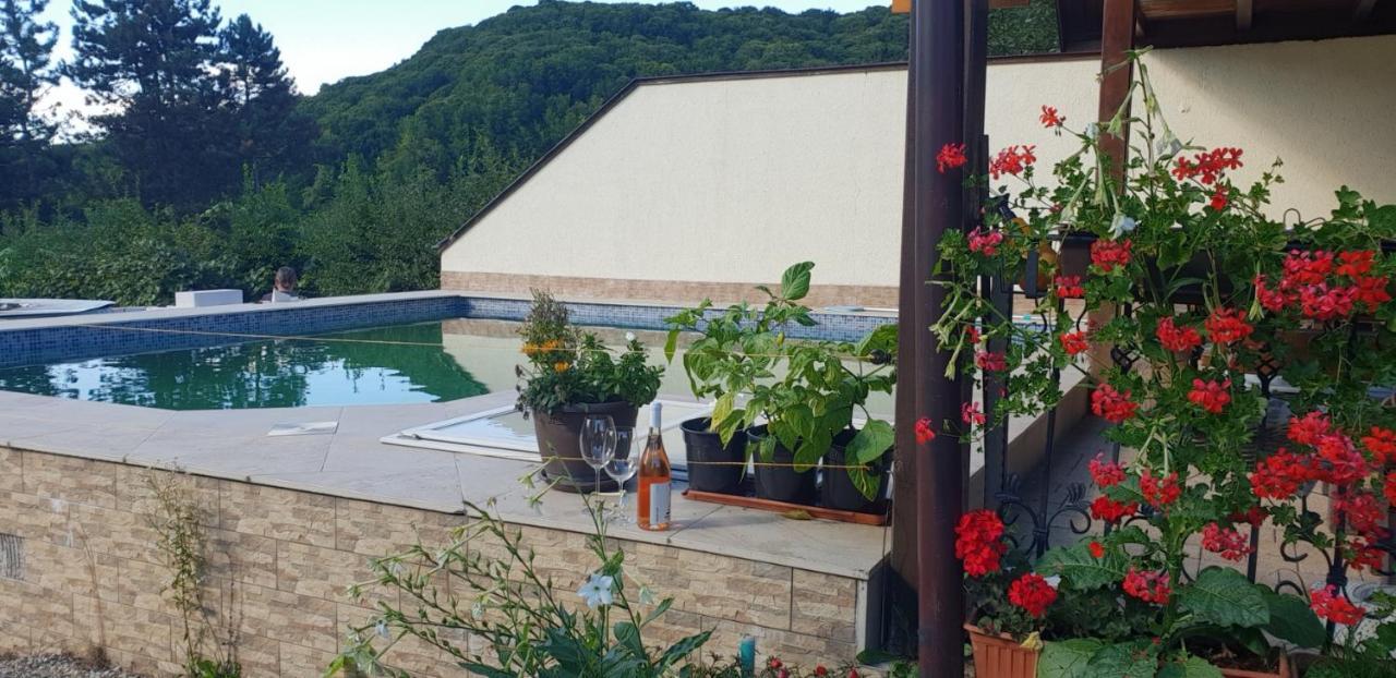 Limpedea Green House Baia Mare Exterior foto